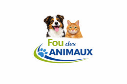 Fou des animaux